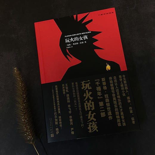 千禧年四部曲：玩火的女孩    3000804 商品图2