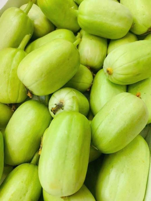 周三取货：【玉女黄瓜】一份2斤左右，小巧可爱，口感松脆爽口！ 商品图5