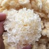 【米仓山野外生长银耳】 商品缩略图3