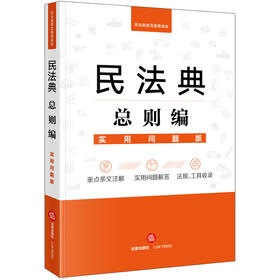 民法典总则编 实用问题版