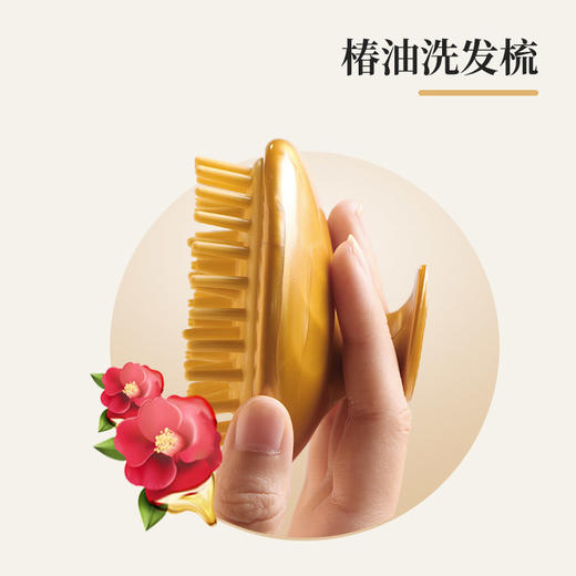 池本椿油洗发梳 日本进口按摩头皮舒适9*6.5cm美发化妆梳  WHJC 商品图5