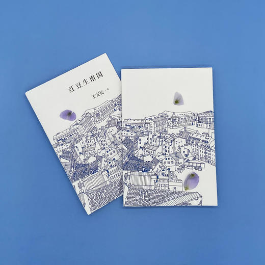 红豆生南国 茅盾文学奖得主王安忆经典中篇小说集中国现代当代文学小说畅销书籍3000760 商品图1