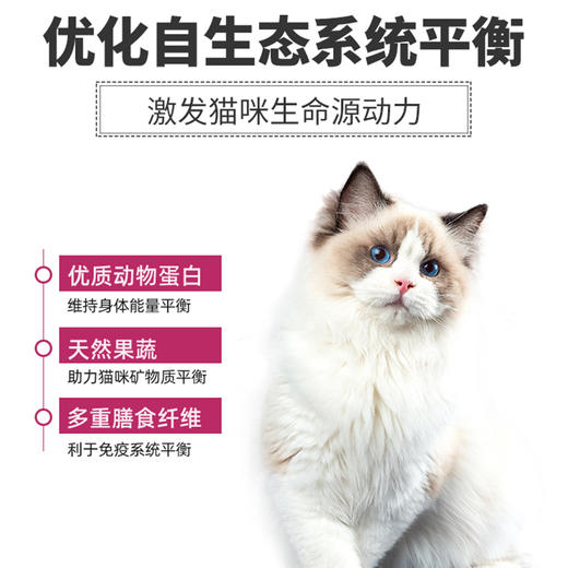 麦富迪猫粮营养森林成猫幼猫主粮2kg/10kg 商品图2