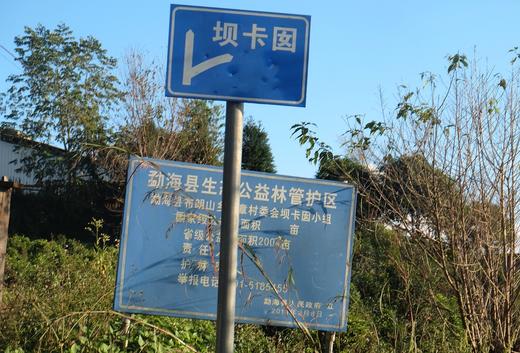 特有千金香~【坝卡囡】班章五寨里的甜蜜性感小情人！ 商品图10