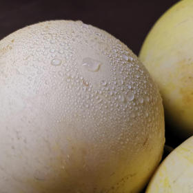 云南郁金香小甜瓜五斤装