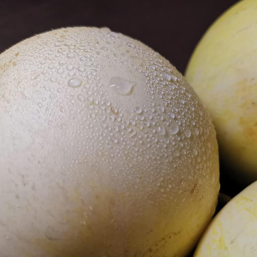 云南郁金香小甜瓜五斤装 商品图0