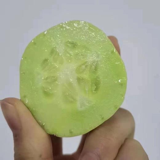 周三取货：【玉女黄瓜】一份2斤左右，小巧可爱，口感松脆爽口！ 商品图3