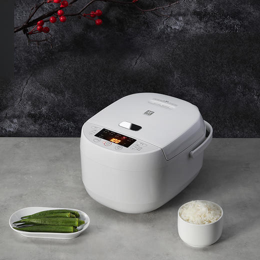 ZRC610 3L电饭煲 商品图8