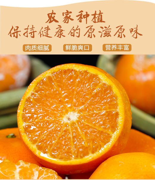 【建发物业臻选】广西茂谷柑 应季新鲜一级水果 精品果5斤装 商品图1