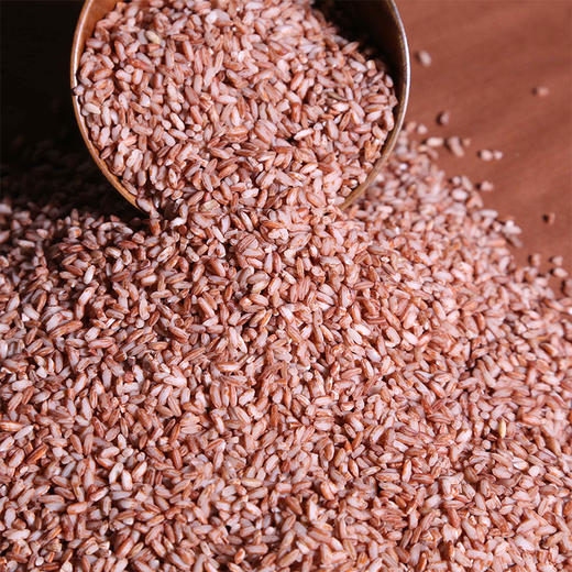 【老品种留胚红米】生长在云南元阳梯田 1300年的老米种 生态种植无污染 红米糙米3斤装 商品图2