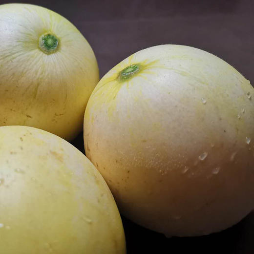 云南郁金香小甜瓜五斤装 商品图1