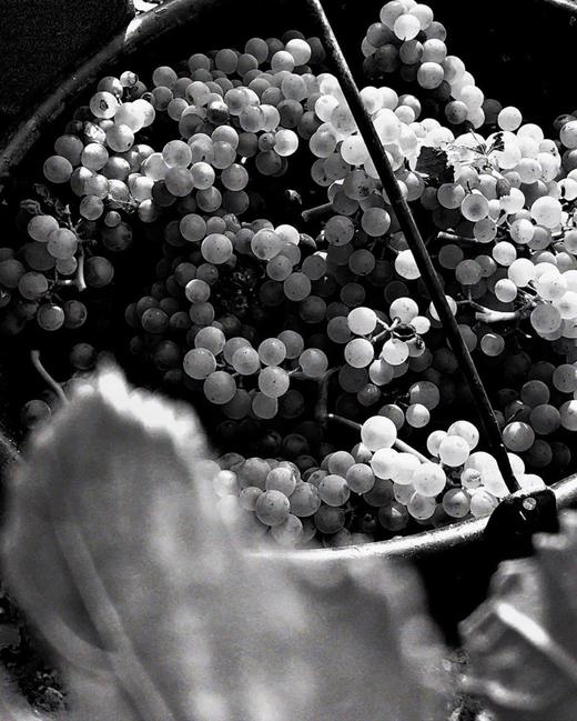 Geoffroy Empreinte 1er Cru 2016 酒福华铭印黑中白香槟 2016 商品图5