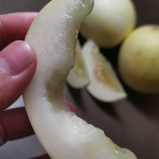 云南郁金香小甜瓜五斤装 商品图2