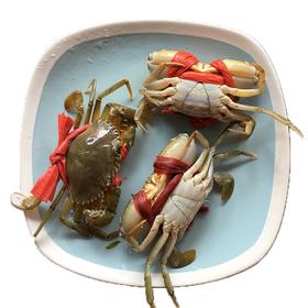 中肉蟹；1斤装//3一4只