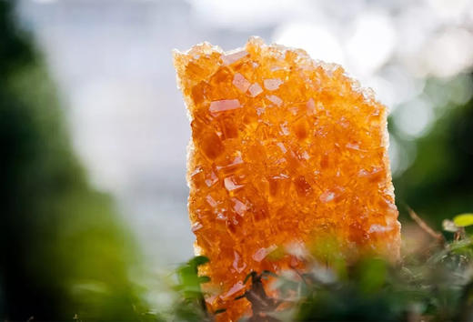 【梨子哥的秋梨膏&棒棒糖】原料单纯，仅用鲜梨和古法老冰糖！无寒凉中药，鲜梨种植零污染零农残 商品图1