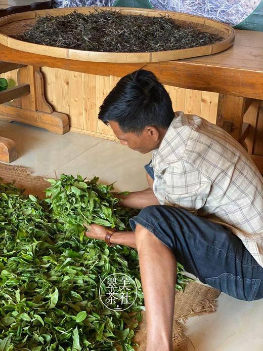 特有千金香~【坝卡囡】班章五寨里的甜蜜性感小情人！ 商品图12