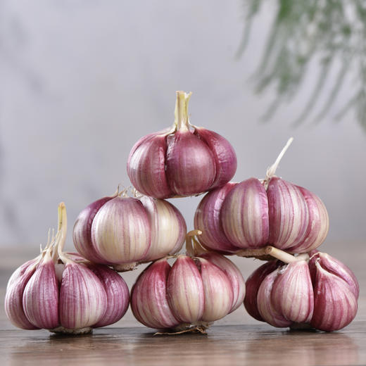 河南紫皮大蒜 多瓣蒜 蒜香浓郁 5斤/10斤包邮