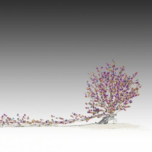 再生-蝴蝶-高孝午 商品图0