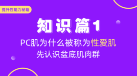 【知识篇1】PC肌为什么被称为“性爱肌”？先认识盆底肌肉群