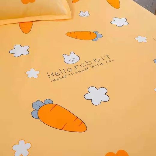 浪莎贡棉磨毛四件套亲肤床品套件四季款单双人被套床上用品多件套 商品图7