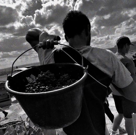 Geoffroy Empreinte 1er Cru 2016 酒福华铭印黑中白香槟 2016 商品图11