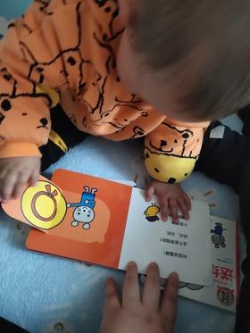 《0-3岁逻辑思维启蒙玩具书》：边翻边学锻炼手脑协调及简单逻辑