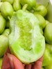 周三取货：【玉女黄瓜】一份2斤左右，小巧可爱，口感松脆爽口！ 商品缩略图2