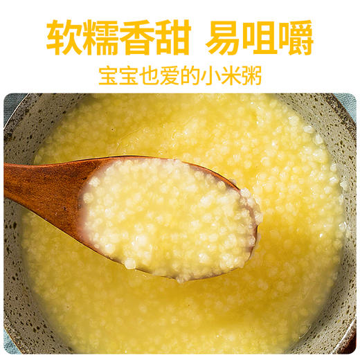 2025新收敖汉旗有机黄小米【6月+宝宝入】 商品图2