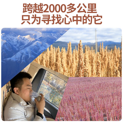 【8个月以上宝宝入】云南有机藜麦 商品图8