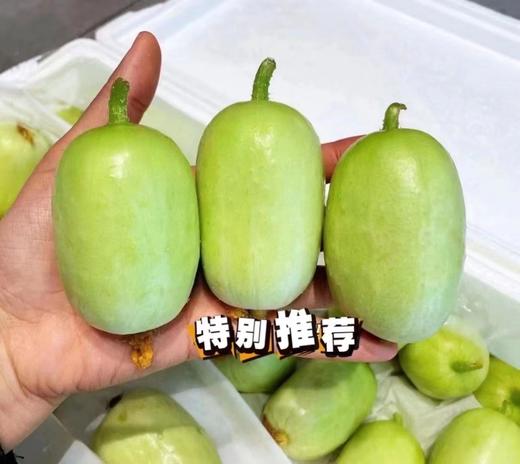 周三取货：【玉女黄瓜】一份2斤左右，小巧可爱，口感松脆爽口！ 商品图0
