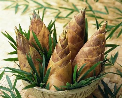 新鲜春笋3斤 只发江浙沪 商品图0