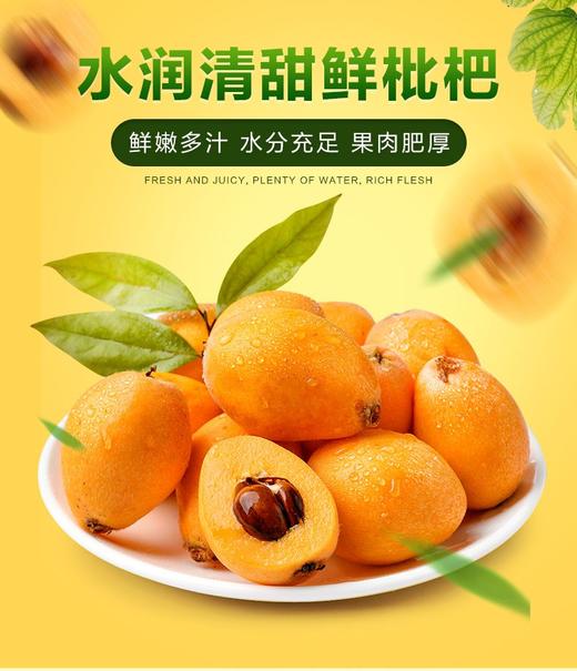 【建发物业臻选】（健康轻食）四川攀枝花米易甜枇杷 新鲜水果 大五星枇杷 3斤/5斤装 商品图0