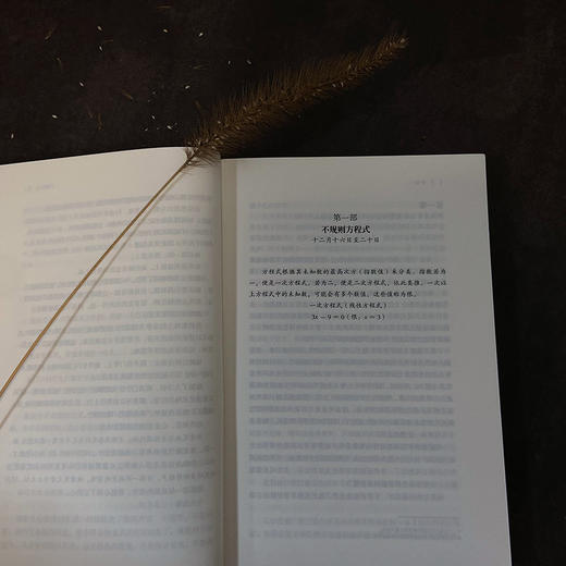 千禧年四部曲：玩火的女孩    3000804 商品图3