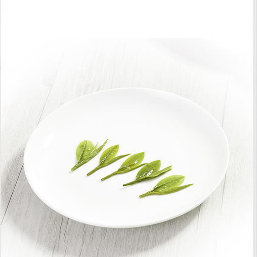 2025年新茶  明前采摘悦享安吉白茶 50g（3g*17）赠送1克  买3罐/4罐送礼盒 商品图3