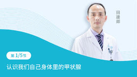 第1节：认识我们自己身体里的甲状腺