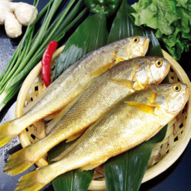 东山岛野生小黄花鱼400g*3份赠海鲜粽2个