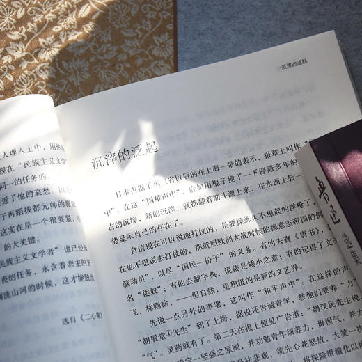 鲁迅选集 朱正 岳麓书社 商品图3