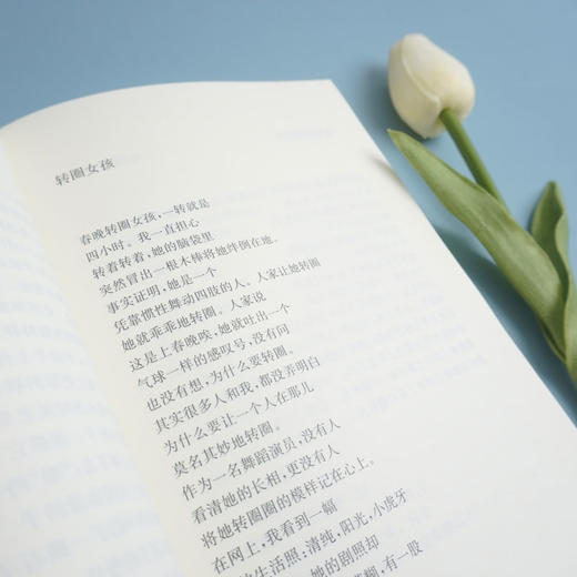 被擦亮的句子 第四届北京文艺网国际诗歌奖第一部诗集奖 陶杰诗集 中国现当代诗歌 商品图3