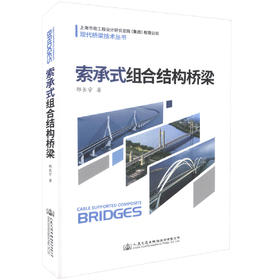 正版现货 索承式组合结构桥梁 上海市政工程设计研究总院（集团）有限公司 现代桥梁技术丛书 索承式 桥梁结构 桥梁