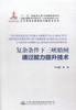 正版现货 复杂条件下三峡船闸通过能力提升技术 长江黄金水道建设关键技术丛书 复杂条件下三峡船闸提升技术 齐俊麟 编著 商品缩略图1