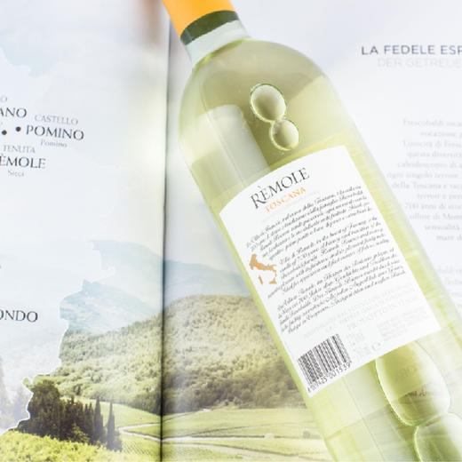 杞冠臻选 | 【意大利花思蝶酒庄】雷莫乐托斯卡纳干白葡萄酒 Remole IGT地理标志基安蒂 chianti 商品图4