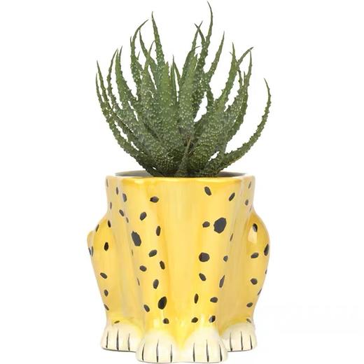 【DOIY】花豹浇水壶，陶瓷园艺花盆 商品图3