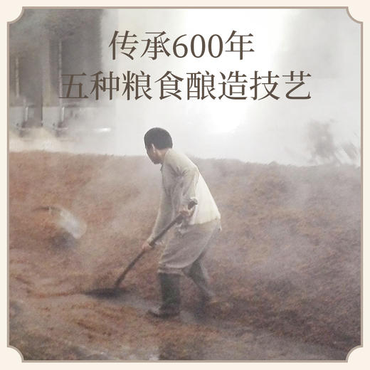 【5种粮食精酿】65度原浆白酒 不加香精勾兑 泡青梅樱桃中药酒 商品图1