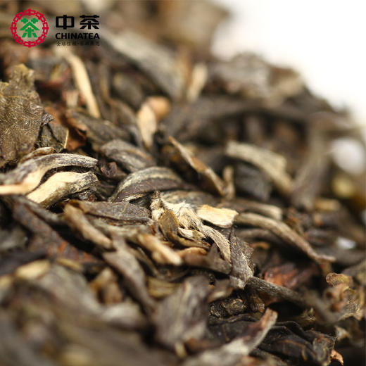 《中粮-中茶》云南普洱茶5年陈 七子饼 高山大乔木老树圆茶 清醇山韵 357g 商品图3
