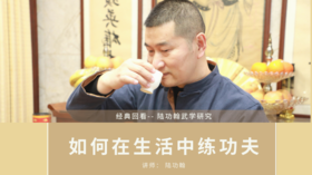 如何把功夫融入生活--陆功翰武学研究