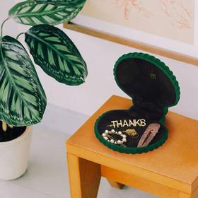 【DOIY】贝壳首饰盒