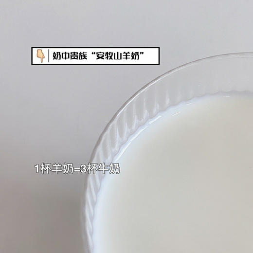 祛除擅味|安牧山羊奶200ml*10盒装 高蛋白含钙儿童孕妇老人乳品 商品图3