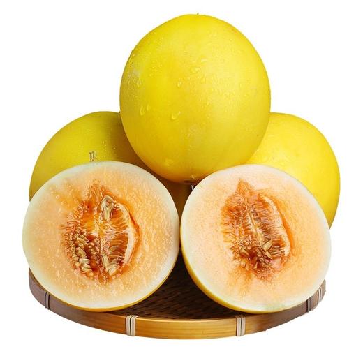 黄河蜜瓜新鲜水果当季现摘甜瓜 商品图1