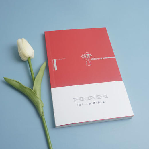 被擦亮的句子 第四届北京文艺网国际诗歌奖第一部诗集奖 陶杰诗集 中国现当代诗歌 商品图1