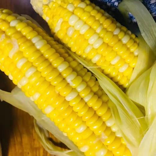 爆浆 ! 甜 ! 海南水果玉米6根/约2770g 商品图0
